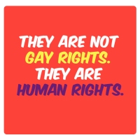 They are not gay rights, they are human rights.